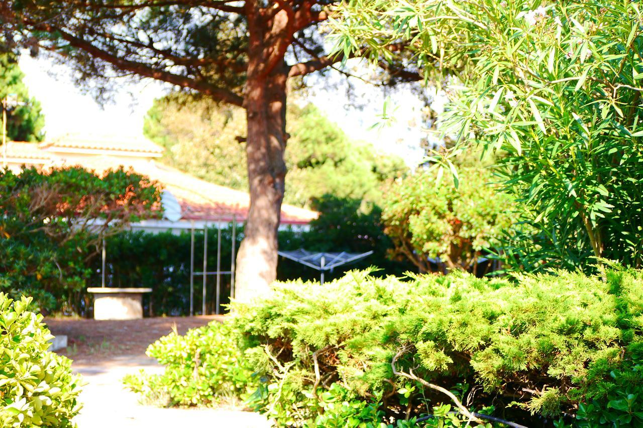 Villa Valentini: Beachfront Comfort with Garden and Private Parking Minturno Exterior photo
